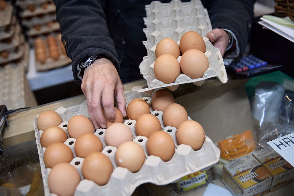 Escasez de Huevos en Supermercados Españoles Debido a la Gripe Aviar » Revista Emprendimiento