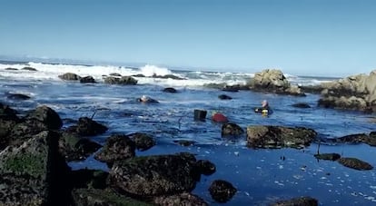 Mujeres pescadoras en el mar con robots